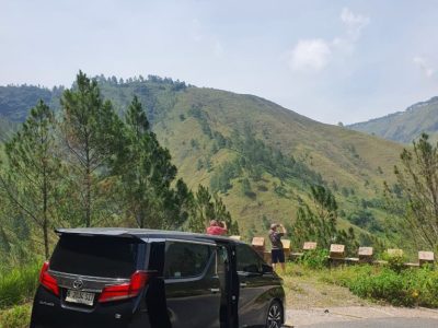 WhatsApp_Image_2026-01-28_at_14.37.46__1_ WhatsApp_Image_2026-01-28_at_14.37.46__1_